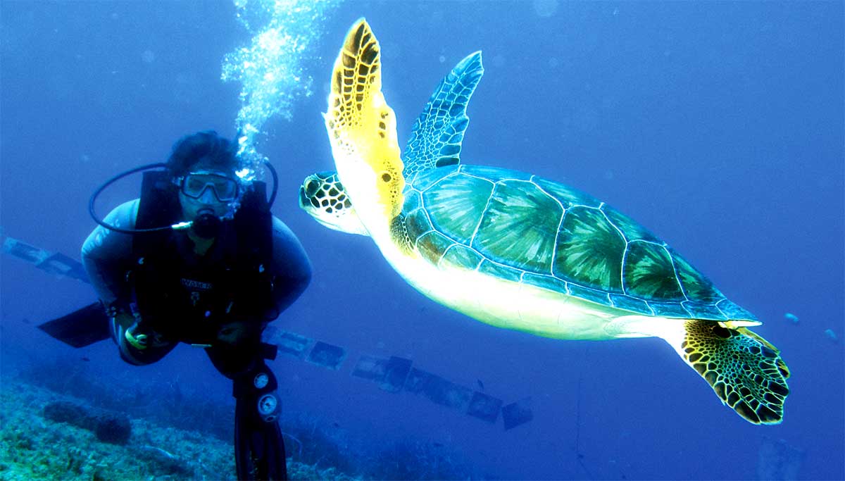 north-cyprus-diving